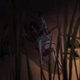 Illustration for article titled In The Latest Chapter Of... Dororo (Ch.0em/em5)